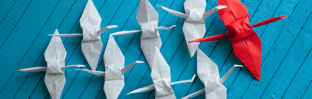 compassionate leadership recognizes each team member