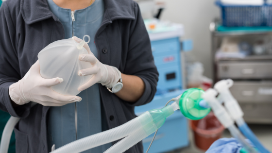 Respiratory Therapist with ventilator