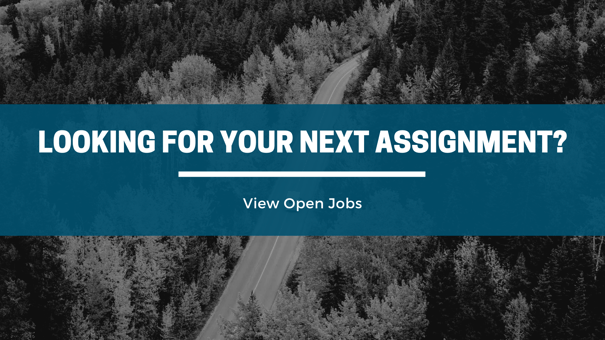 Looking For your next assignment?
