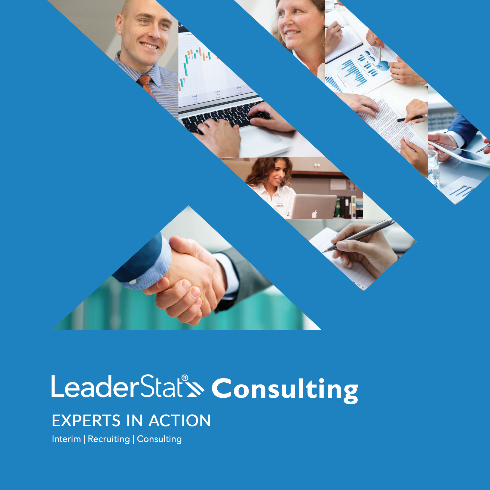 LeaderStat Consulting Brochure