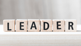 interim executive leader