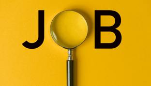 New Job Sarch