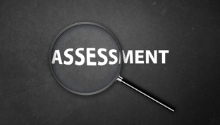DiSC Assessment