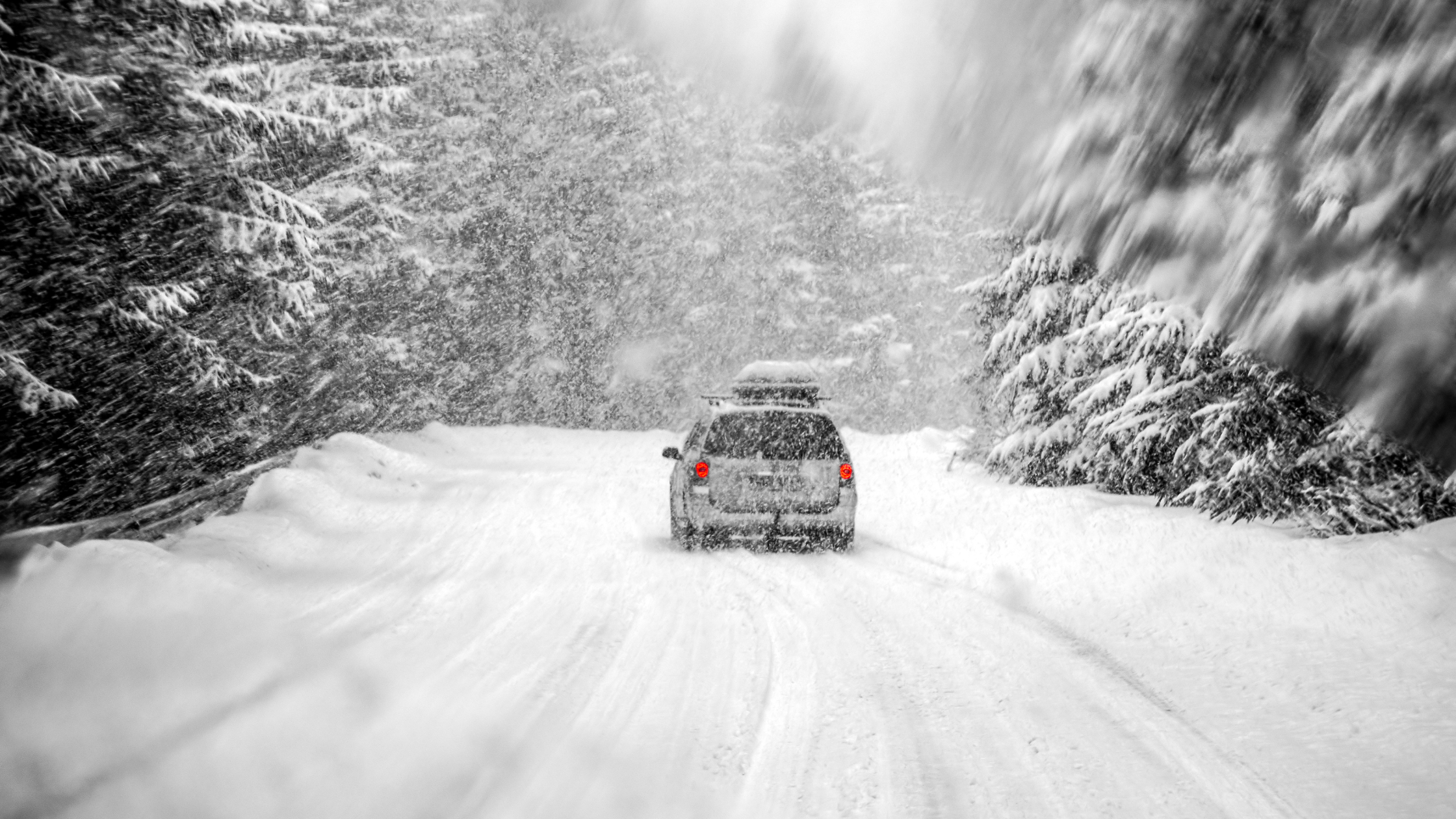 Van driving on a snow-covered road with large trees on each side